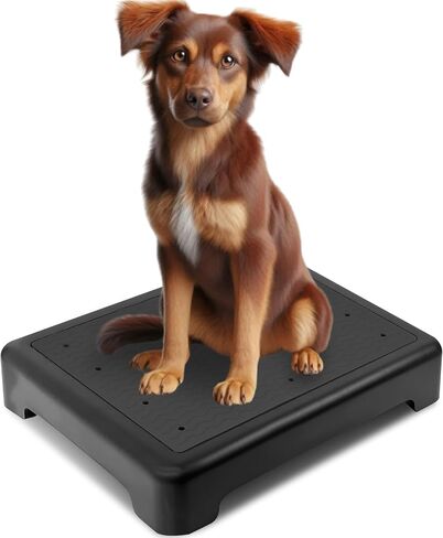 Dog Training Platform - Large Non-Skid Dog Place Board, Stackable & Portable Agility Training Equipment for Small & Medium Dogs, Durable Hunting Dog Trainer Stand in Saudi Arabia