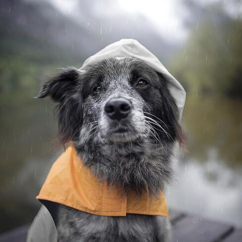 Dog Raincoat with Reflective Strip, Ultra Light Breathable Waterproof Dog Rain Jacket, Adjustable Waterproof Dog Raincoat with Hood, Suitable for Small, Medium, and Large Dogs (Grey, L) in Kuwait
