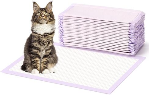 Cat Pads Refills for Litter Box: Cat Litter Mat for Tidy Cats Breeze Litter System - Thickened 6-Layer Super Absorbent Breeze Pads - 16.9" X 11.4" Odor Control - Pack of 20 in Saudi Arabia