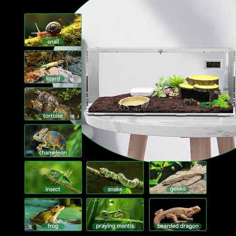 Reptile Terrarium Tank Horizontal with Thermohygrometer for Small Tree Dwelling Reptile Amphibians Lizard Gecko Spider Enclosure Hermit Crab Cage Insect Isopod Acrylic Tarantula Terrarium L in Saudi Arabia