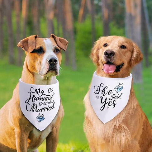 Engagement Gifts, My Humans are Getting Married She Said Yes Dog Bandana Large, Engagement Party Decorations, Wedding Photo Prop, Pet Scarf Engagement Announcement, Bride Accessories(white) in Saudi Arabia