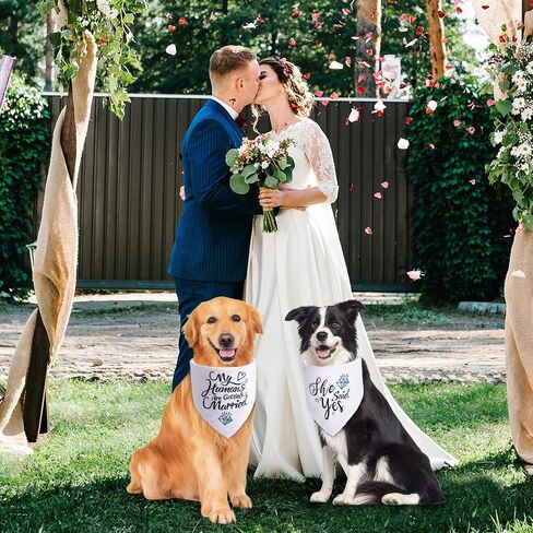 Engagement Gifts, My Humans are Getting Married She Said Yes Dog Bandana Large, Engagement Party Decorations, Wedding Photo Prop, Pet Scarf Engagement Announcement, Bride Accessories(white) in Saudi Arabia