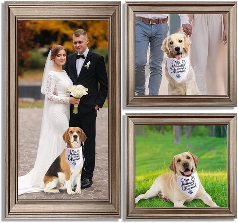 Engagement Gifts, My Humans are Getting Married She Said Yes Dog Bandana Large, Engagement Party Decorations, Wedding Photo Prop, Pet Scarf Engagement Announcement, Bride Accessories(white) in Saudi Arabia