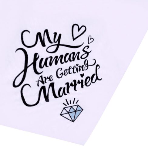 Engagement Gifts, My Humans are Getting Married She Said Yes Dog Bandana Large, Engagement Party Decorations, Wedding Photo Prop, Pet Scarf Engagement Announcement, Bride Accessories(white) in Saudi Arabia