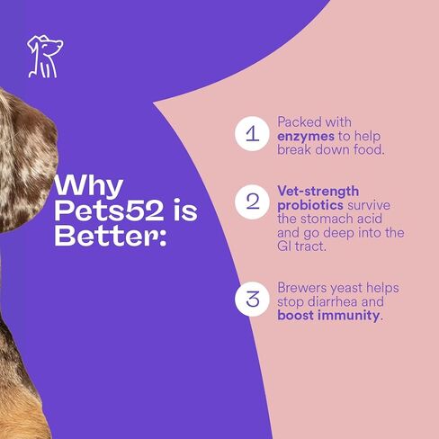 Pets 52 - Digestive Dog Probiotics with Enzymes - Supports Healthy Gut Flora, Boosts Immune System, Promotes Stomach Comfort, Vet-Strength Formula for Improved Digestion - 30-Day Results in Saudi Arabia