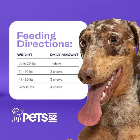 Pets 52 - Digestive Dog Probiotics with Enzymes - Supports Healthy Gut Flora, Boosts Immune System, Promotes Stomach Comfort, Vet-Strength Formula for Improved Digestion - 30-Day Results in Saudi Arabia