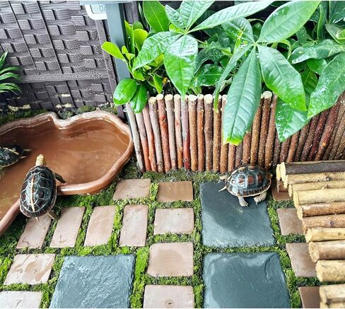 2 حزمة منصة تشمس الزواحف 11.8 بوصة × 6 بوصة + 4 بوصة، لائحة للسلحفاة، لائحة تغذية السلحفاة، ملحقات ديكور المسكن، صخور التشمس للتنين الملتحي، الحرباء، الأفعى، الضفدع، السحلية، أبو بريص in Saudi Arabia