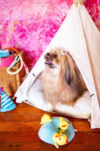 Pet Teepee with Soft Cushion for Dogs, Cats, Rabbits and Puppies, Portable Pet Tent, White Dog Tent. Pet House with Bed, Washable Dog Teepee, Portable Dog House (White) in Kuwait