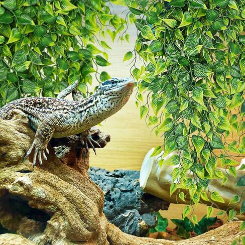 Reptile Tank Accessories Terrarium Plants, 2 Pack Reptile Hanging Plants Faux Leaves Reptile Hide with Suction Cup, Bearded Dragon Tank Accessories for Leopard Gecko Lizard Snake Chameleon in Kuwait