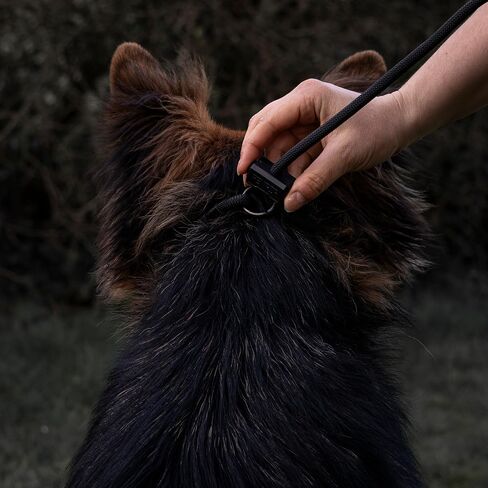Fenrir Slip Leash 1.4m Professional Dog Training Lead to Stop Pulling, Perfect for Walks, Easy to Use, Spring Loaded Stopper, Light Weight and Durable in Saudi Arabia