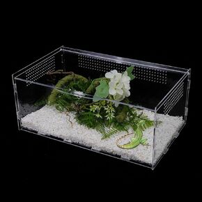 Micro Habitat Terrarium Enclosure, Jumping Spider Enclosure with Locking Latch for Small Tree Dwelling Reptiles,Tarantula, Amphibians, Spiders,Invertebrates (4x4x8 inch)