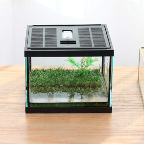 crapelles Pac Frogs Glass Terrarium Feeding kit tank, waterproof,for small amphibians, Insect, horned frogs. Waterweed/Prairie style Habitat,with Green Artificial Turf Pad, (excluding animals)