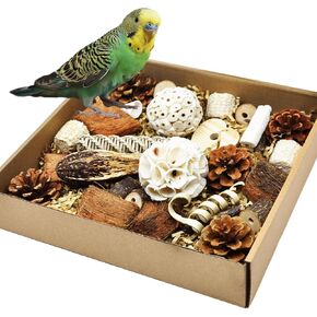 Natural Bird Foraging & Parrot Shredding Toys Box - Interactive Chewing and Foraging Toys for Parakeets, Cockatiels, Conures, Love Birds, and Small to Medium Birds