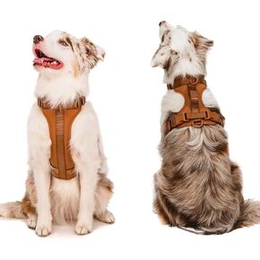 Adjustable Dog Harness with Handle | BearBone No Pull Dog Vest Harness | Front Clip Harness for Dogs | Best Dog Harness for Walking and Training | Medium Dog Harness | Lilac Dog Harness