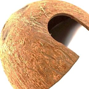 Hexagrowth Coconut Hideouts, Reptile, Hermit, Lizard, Aquarium Decor for Fish, Brown