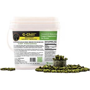 G-Chill دعم صحة الجهاز الهضمي الطبيعي للخيول - 30 حصة - يعزز صحة المعدة والمعى الخلفي، ويساعد في تخفيف قرحة المعدة، ويعزز إنتاج الكولاجين والفيبرونكتين لإصلاح الأنسجة