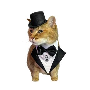 Black top hat and tux for Cat, Wedding, Top hat and tux for small dog