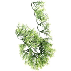 Zoo Med Laboratories SZMBU24 Natural Bushy Australian Maple, Medium