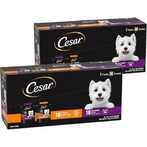 Cesar Filets in Gravy Wet Dog Food Filet Mignon Flavor and Rotisserie Chicken Flavor Variety Pack, 1.76 oz. Mini-Pouches, 20 Pack (Pack of 2)