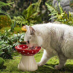 6 Inch Wide Ceramic Elevated Cat Bowl, Whisker Friendly Raised Cat Food Bowl for Food and Water, Tilted Cat Dish for Flat Faced Cat Kitten, Cat Feeding Bowls, Shallow Cat Bowls/Dishes(Red pack of 1)