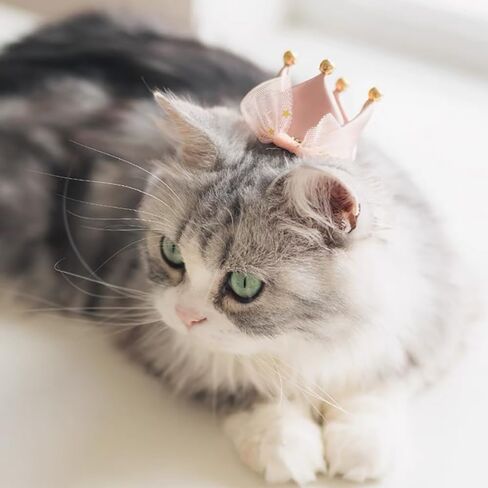 قبعة تاج من الساتان الوردي الرائعة مشبك شعر للقطط والكلاب الصغيرة للحفلات والعطلات إكسسوارات الزي للقطط والهريرة والجرو والأرنب in Kuwait