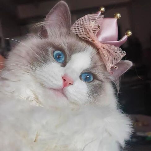 قبعة تاج من الساتان الوردي الرائعة مشبك شعر للقطط والكلاب الصغيرة للحفلات والعطلات إكسسوارات الزي للقطط والهريرة والجرو والأرنب in Kuwait