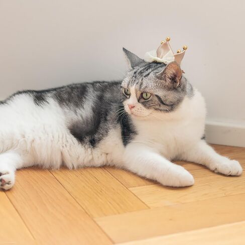 قبعة تاج من الساتان الوردي الرائعة مشبك شعر للقطط والكلاب الصغيرة للحفلات والعطلات إكسسوارات الزي للقطط والهريرة والجرو والأرنب in Kuwait