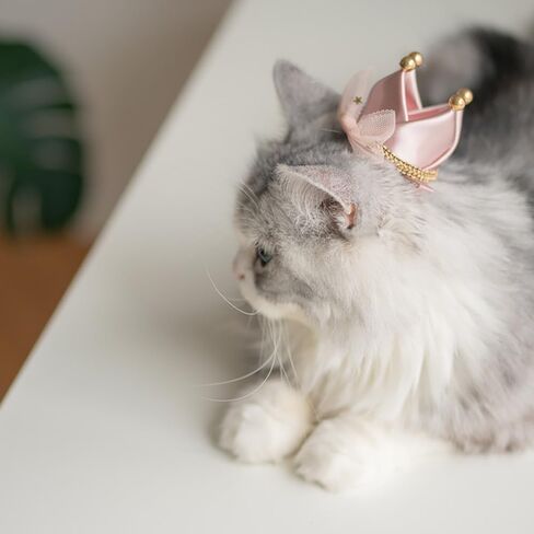 قبعة تاج من الساتان الوردي الرائعة مشبك شعر للقطط والكلاب الصغيرة للحفلات والعطلات إكسسوارات الزي للقطط والهريرة والجرو والأرنب in Kuwait