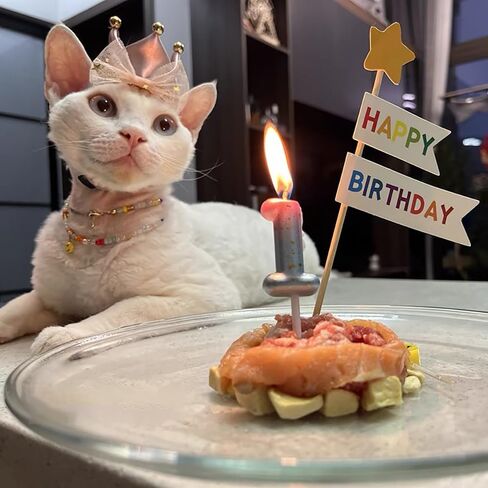 قبعة تاج من الساتان الوردي الرائعة مشبك شعر للقطط والكلاب الصغيرة للحفلات والعطلات إكسسوارات الزي للقطط والهريرة والجرو والأرنب in Kuwait