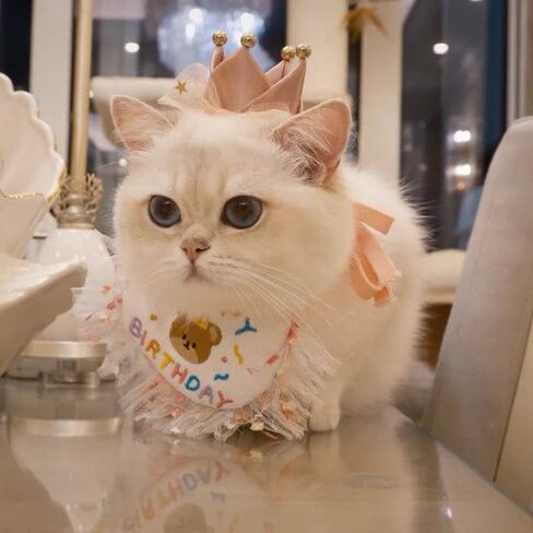 قبعة تاج من الساتان الوردي الرائعة مشبك شعر للقطط والكلاب الصغيرة للحفلات والعطلات إكسسوارات الزي للقطط والهريرة والجرو والأرنب in Kuwait