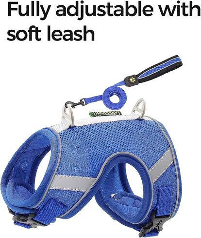 pangdi Cat Harness and Leash Escape Proof Cat Leash for Walking Travel Kitten Harness Service Cat Vest Grey Large in Saudi Arabia