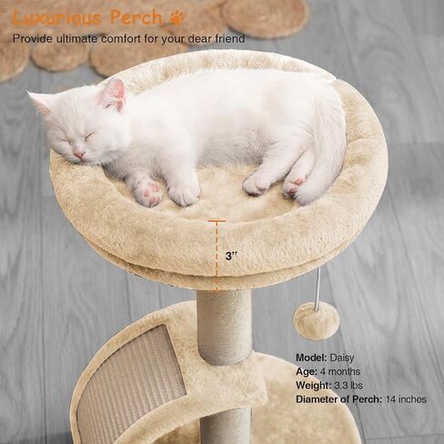Small Cat Tree Tower with Scratching Post, Modern Kitten Tower for Indoor Cats, Short Carpet Sisal Cat Scratcher Stand with Large Bed Perch, Scratch Ramp, Toy Ball for Kitty Play (Grey) in Saudi Arabia