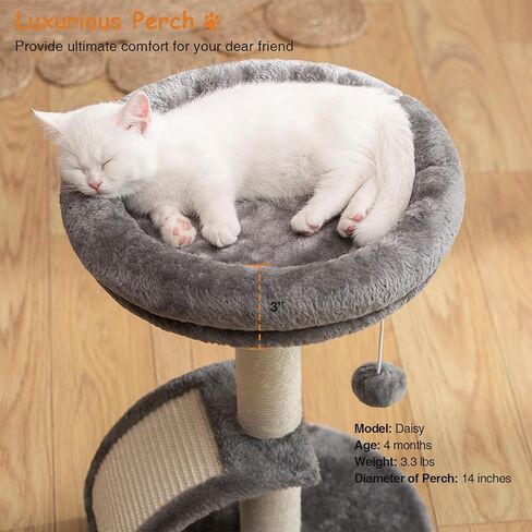 Small Cat Tree Tower with Scratching Post, Modern Kitten Tower for Indoor Cats, Short Carpet Sisal Cat Scratcher Stand with Large Bed Perch, Scratch Ramp, Toy Ball for Kitty Play (Grey) in Saudi Arabia