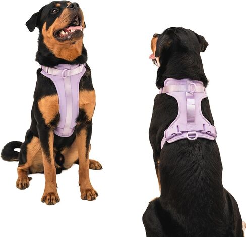 Adjustable Dog Harness with Handle | BearBone No Pull Dog Vest Harness | Front Clip Harness for Dogs | Best Dog Harness for Walking and Training | Medium Dog Harness | Lilac Dog Harness in Saudi Arabia