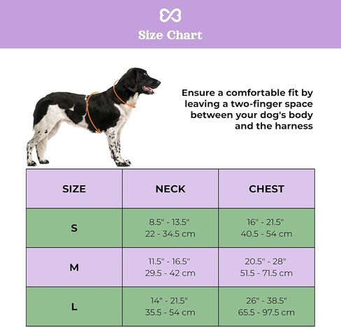 Adjustable Dog Harness with Handle | BearBone No Pull Dog Vest Harness | Front Clip Harness for Dogs | Best Dog Harness for Walking and Training | Medium Dog Harness | Lilac Dog Harness in Saudi Arabia