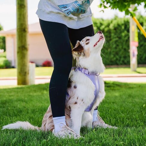 Adjustable Dog Harness with Handle | BearBone No Pull Dog Vest Harness | Front Clip Harness for Dogs | Best Dog Harness for Walking and Training | Medium Dog Harness | Lilac Dog Harness in Saudi Arabia
