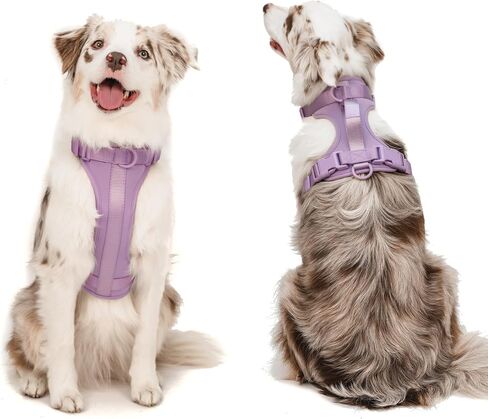 Adjustable Dog Harness with Handle | BearBone No Pull Dog Vest Harness | Front Clip Harness for Dogs | Best Dog Harness for Walking and Training | Medium Dog Harness | Lilac Dog Harness in Saudi Arabia