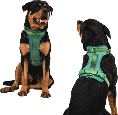Adjustable Dog Harness with Handle | BearBone No Pull Dog Vest Harness | Front Clip Harness for Dogs | Best Dog Harness for Walking and Training | Medium Dog Harness | Lilac Dog Harness in Saudi Arabia