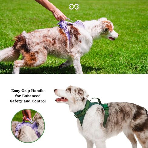 Adjustable Dog Harness with Handle | BearBone No Pull Dog Vest Harness | Front Clip Harness for Dogs | Best Dog Harness for Walking and Training | Medium Dog Harness | Lilac Dog Harness in Saudi Arabia
