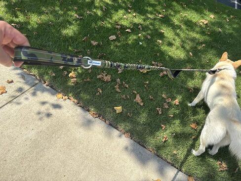 مقود بنجي ممتص للصدمات من Shed Defender - ثلاثة مقابض مرور مبطنة، مصممة في الولايات المتحدة الأمريكية، تمتد من 4 إلى 7 أقدام، مقود مرن للكلاب، خياطة عاكسة، كلب كبير وسلالة صغيرة، شديد التحمل، أسود in Kuwait