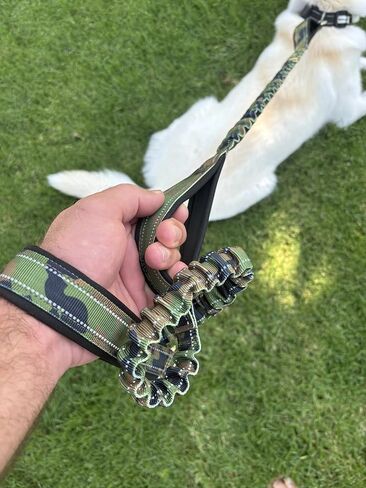 مقود بنجي ممتص للصدمات من Shed Defender - ثلاثة مقابض مرور مبطنة، مصممة في الولايات المتحدة الأمريكية، تمتد من 4 إلى 7 أقدام، مقود مرن للكلاب، خياطة عاكسة، كلب كبير وسلالة صغيرة، شديد التحمل، أسود in Kuwait