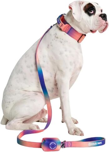 Spark Paws Premium Dog Leash & Poop Bag Set - Heavy-Duty Alloy Hook for Strong Pulling Breeds - Comfortable, Durable & Secure - 90s Retro in Saudi Arabia
