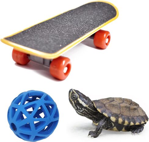 Tortoise Treat Ball And Training Skateboard Toy Set, Turtle Feeder Ball And Funny Skateboard, Tortoise Toy Feeding Balls Vegetable Grass For Small Animals Pets Tortoises Turtles (Blue) in Kuwait