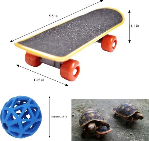Tortoise Treat Ball And Training Skateboard Toy Set, Turtle Feeder Ball And Funny Skateboard, Tortoise Toy Feeding Balls Vegetable Grass For Small Animals Pets Tortoises Turtles (Blue) in Kuwait
