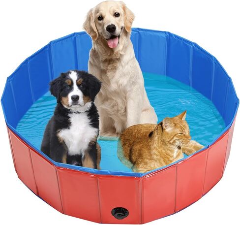 Dog Whelping Box, Foldable Birthing Pool for Dogs, Whelping Pool for Puppies, Poartable Plastic Swimming Pool & Bath Tub for Dogs, Red (Red, 31.5" Dia. × 7.9" H (80cm × 20cm)) in Saudi Arabia