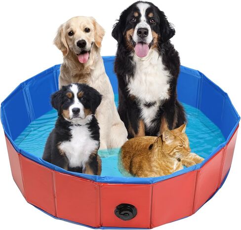 Dog Whelping Box, Foldable Birthing Pool for Dogs, Whelping Pool for Puppies, Poartable Plastic Swimming Pool & Bath Tub for Dogs, Red (Red, 31.5" Dia. × 7.9" H (80cm × 20cm)) in Saudi Arabia