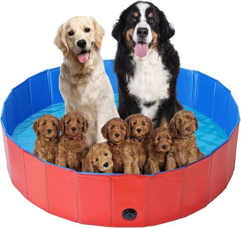 Dog Whelping Box, Foldable Birthing Pool for Dogs, Whelping Pool for Puppies, Poartable Plastic Swimming Pool & Bath Tub for Dogs, Red (Red, 31.5" Dia. × 7.9" H (80cm × 20cm)) in Saudi Arabia