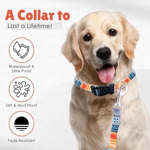 Dog Collar & Leash Set, Bark Collar for large dog leash & collar for small dogs with Adjustable Size, Water Resistance, Comfortable dog head collar, (Black, Medium) in Saudi Arabia