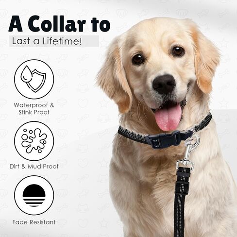 Dog Collar & Leash Set, Bark Collar for large dog leash & collar for small dogs with Adjustable Size, Water Resistance, Comfortable dog head collar, (Black, Medium) in Saudi Arabia