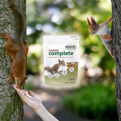 Squirrel Complete (1.75 lb.) - Healthy Natural Food - Nutritionally Complete Diet for Pet & Captive Squirrels - Ground Squirrels, Grey Squirrels, Flying Squirrels, & Chipmunks in Saudi Arabia